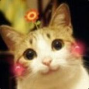 手影魔不打中 随便举报