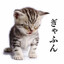 伏見猿比古's avatar