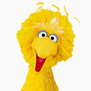 BigBird