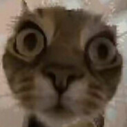 朴弟带我出大金