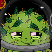 HazeKush avatar