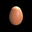 egg
