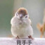 我先旋口饭
