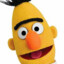 Bert