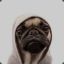 Pug Life Bru