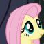 Fluttershy