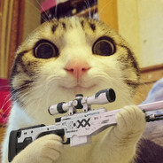 grosChatTV