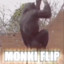 Monkey flip