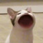 Shikamanu