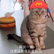 比巴卜是肥猪猫