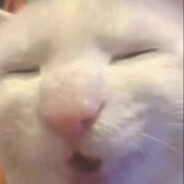 You have no knowledge of power