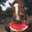 Time to Horse Around