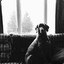 Krank -iwnl-