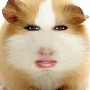 九幺搜索郭蛋郡