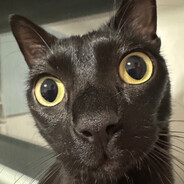 Maxipuss27