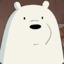 icebear does not approve