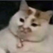 匹配到KD0.37的我当队友是你小子的报应