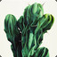komischer kaktusmann