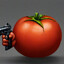 помидор