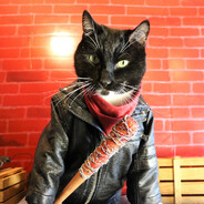 spencer going up's avatar