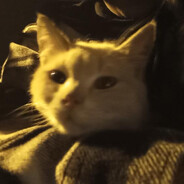 Mavi