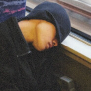 羞啦啦玫瑰静悄悄的开