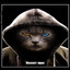 некит причастен