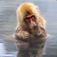 Lillbolstalele - steam id 76561197961360080