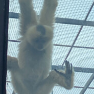 老婆快跑我殿后