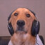 Zeus0_0