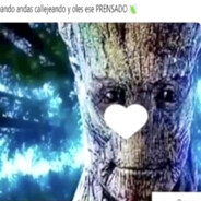 GROOT PASTERO