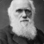 Darwin