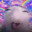 Elise Steam avatar