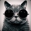 ewen