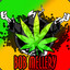 Bob_Mellery