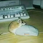 Mr.Budyń - steam id 76561198227285528