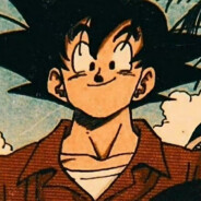 锐刻藏区大代理丁真