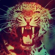 meGa_VажNыЙ_игROK