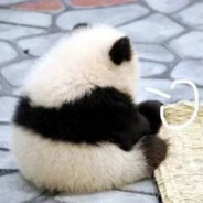 了解我之后你开始厌恶我身上无法抹去的悲观