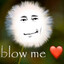 blow me &lt;3