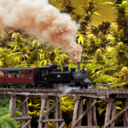puffingbillies - steam id 76561197971033909