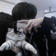 車專女也女乃豆頁