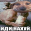 savchenko