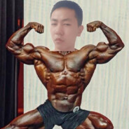 何晨光