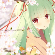梦里花从中