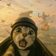 哈基国最精锐的后盾