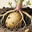spud, from the ground.