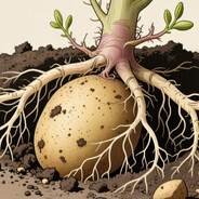 spud, from the ground.