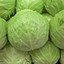 cabbage_man