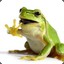 frog_chorus